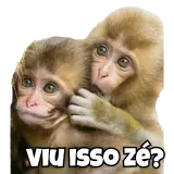 Figurinha de Memes Brasileiros para WhatsApp