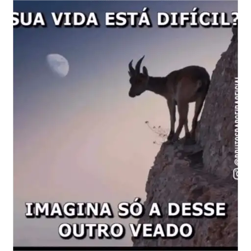 Coletadas sticker 945