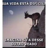 Figurinha para WhatsApp