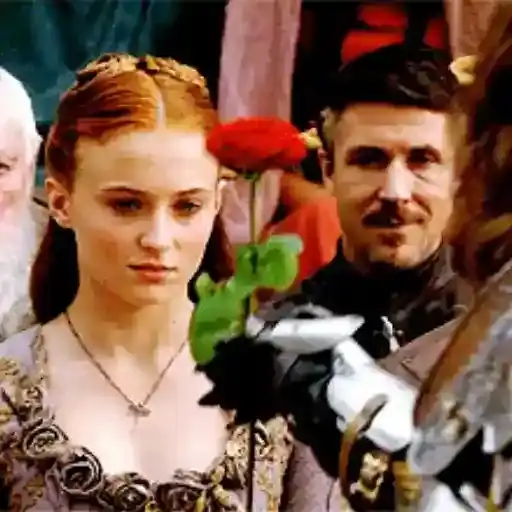 Coletadas sticker 145