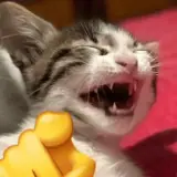 Figurinha de Animais para WhatsApp