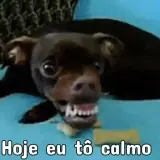 Sticker para WhatsApp