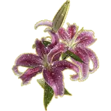 WhatsApp sticker