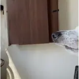 Figurinha de Cachorros para WhatsApp