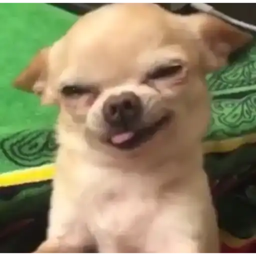 Coletadas sticker 737