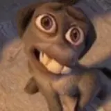 Sticker de Animais para WhatsApp