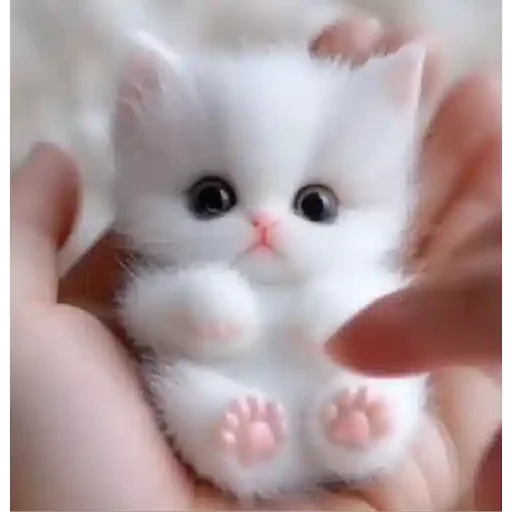 Sticker para WhatsApp — Animais