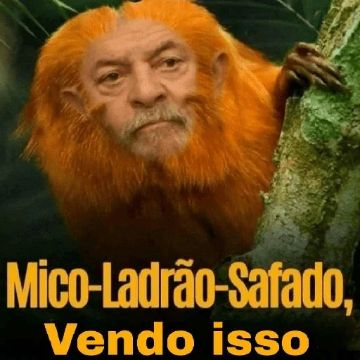 Figurinha para WhatsApp — Memes Brasileiros
