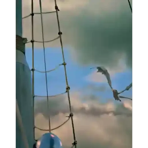 Figurinha para WhatsApp