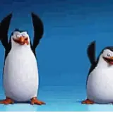 Figurinha de Animais para WhatsApp