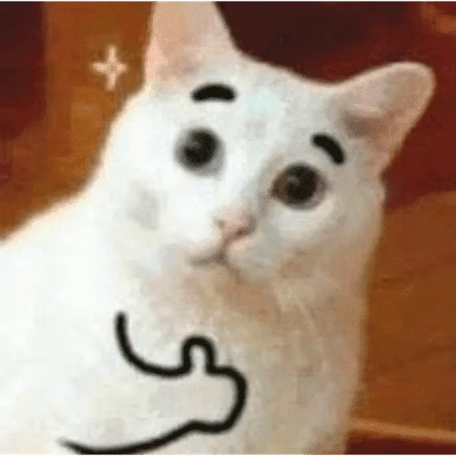 Figurinha para WhatsApp — Gatos