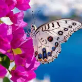 Figurinha para WhatsApp