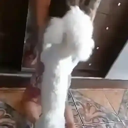 Coletadas sticker 757