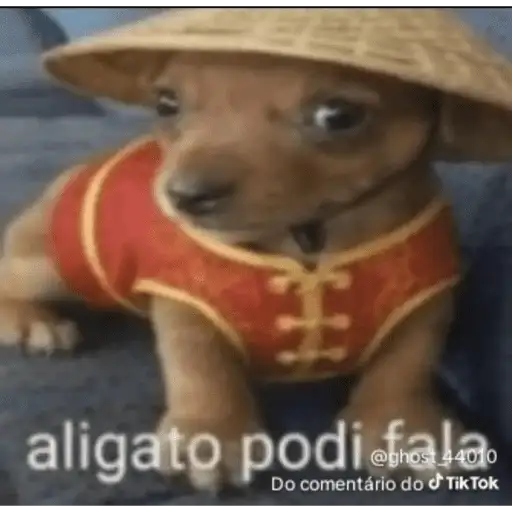 Coletadas sticker 4919