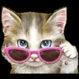 Figurinha de Animais para WhatsApp