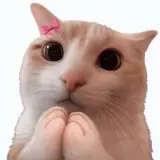 Figurinha de Gatos para WhatsApp