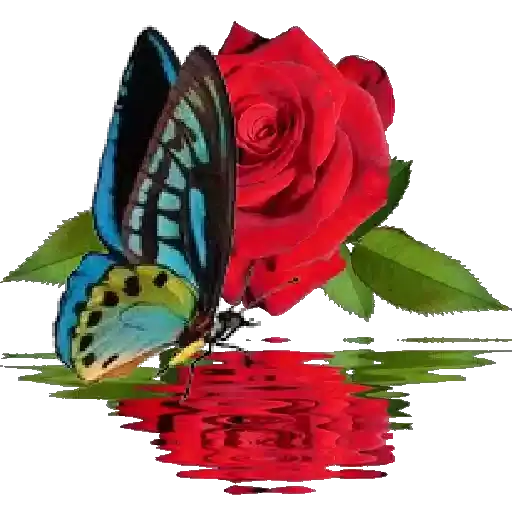 Coletadas sticker 30039