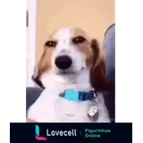 Sticker para WhatsApp