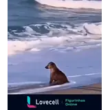 Sticker para WhatsApp