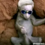 Sticker de Memes para WhatsApp