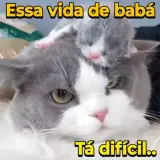 Figurinha de Memes Brasileiros para WhatsApp