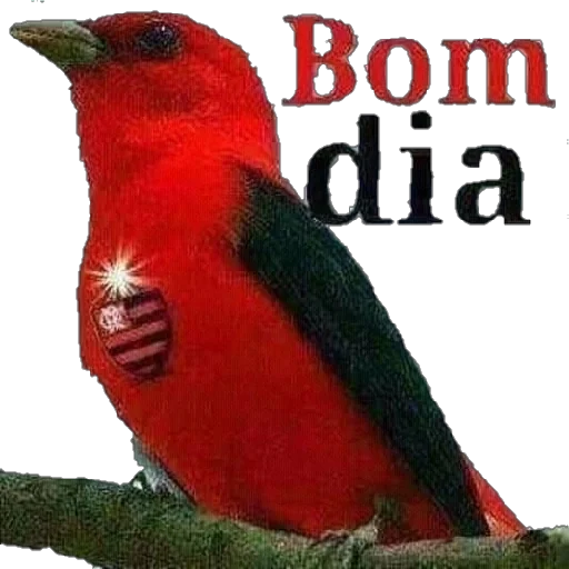 Figurinha para WhatsApp