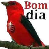 Figurinha para WhatsApp