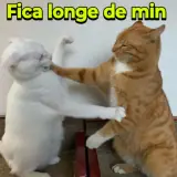 Figurinha de Memes para WhatsApp