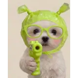 Figurinha de Cachorros para WhatsApp