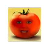 Memes WhatsApp sticker