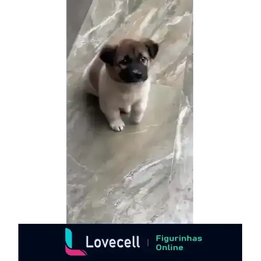 Coletadas sticker 32917