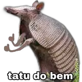 Sticker de Memes Brasileiros para WhatsApp