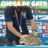 Memes Brasileiros WhatsApp sticker