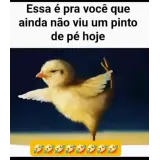 Memes Brasileiros WhatsApp sticker