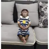 Figurinha de Animais para WhatsApp