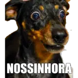 Figurinha para WhatsApp