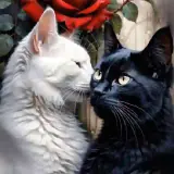 Figurinha de Animais para WhatsApp