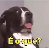 Figurinha de Cachorros para WhatsApp