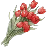 Figurinha de Amor para WhatsApp