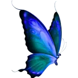 Figurinha de Animais para WhatsApp