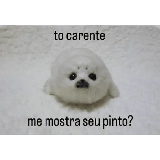 Coletadas sticker 2083