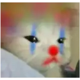 Figurinha de Gatos para WhatsApp