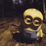 Figurinha para WhatsApp