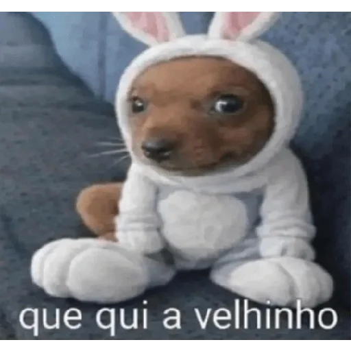 Figurinha para WhatsApp — Memes Brasileiros