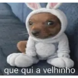 Figurinha de Memes Brasileiros para WhatsApp