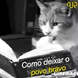 Sticker de Gatos para WhatsApp