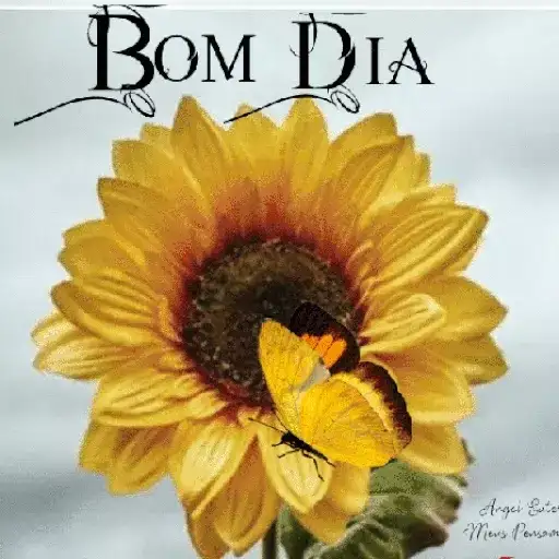 Coletadas sticker 441