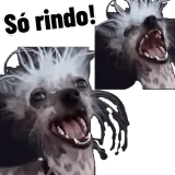 Figurinha de Memes para WhatsApp