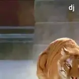 WhatsApp sticker