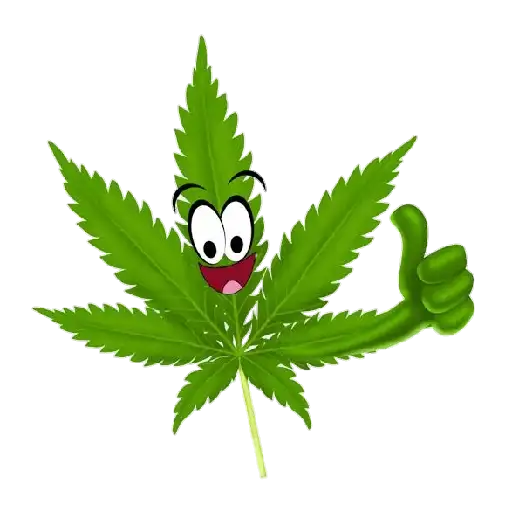 Coletadas sticker 32017
